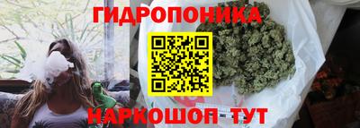 PSILOCYBIN Усть-Джегута