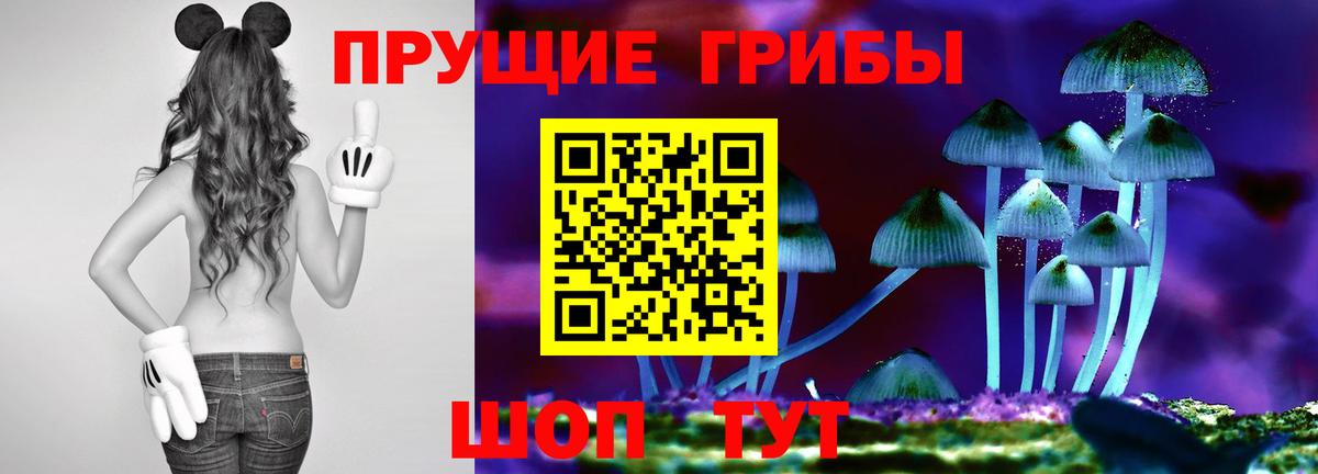 Галлюциногенные грибы Cubensis  Вход с VPN  Псилоцибиновые грибы Psilocybine cubensis  купить наркоту  Ишим 